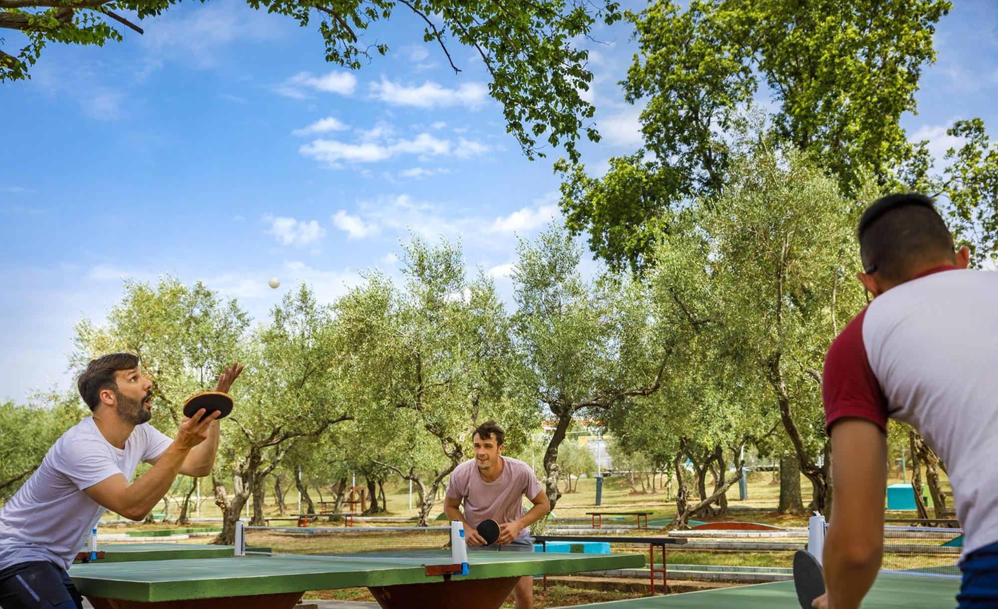 Aminess Planet Camping Maravea Resort - Pitches Novigrad Istria Kültér fotó